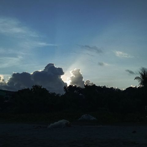 Danaya09