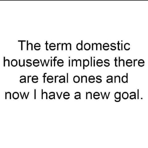 nomoreusernamesleft is Single in Somewhere, Indiana, 1