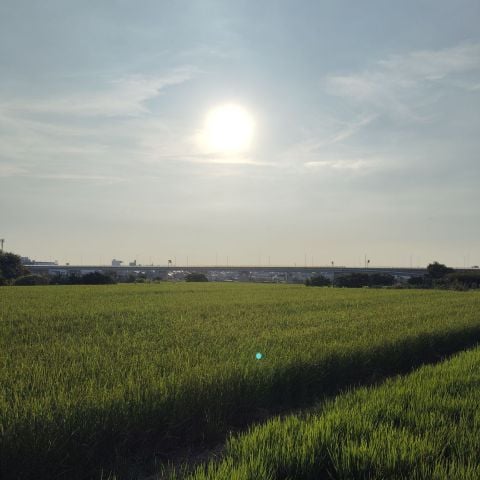 Richard_km