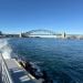 JuliaBills is Single in Barangaroo, New South Wales