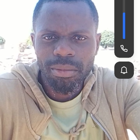 Kingsley342