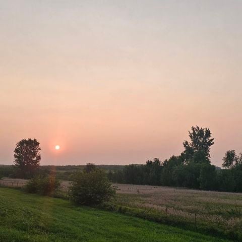 RealChillDay is Single in Papillion, Nebraska, 3