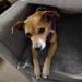 Maryfran15 is Single in Bay Minette, Alabama, 4