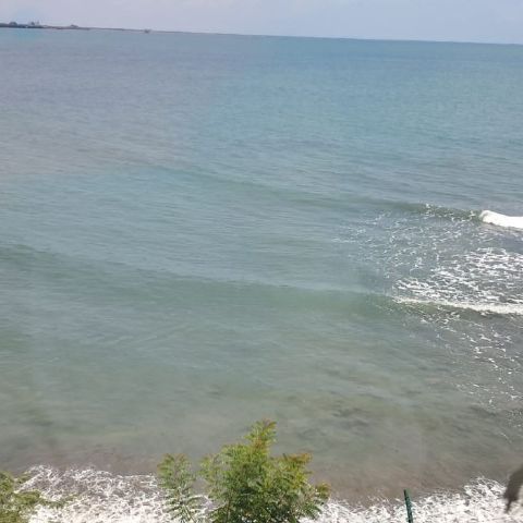 Elabed