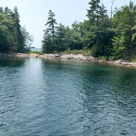 RobertFrank is Single in Orangeville, Ontario, 3