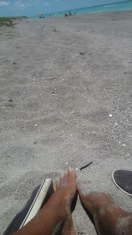 FloridaBred