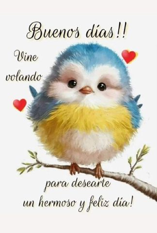 FlorNic79