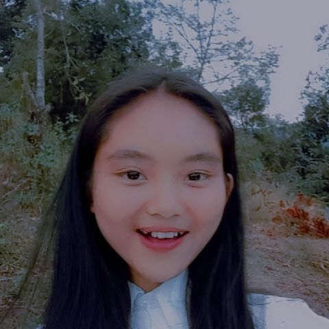 Sophiabrchin