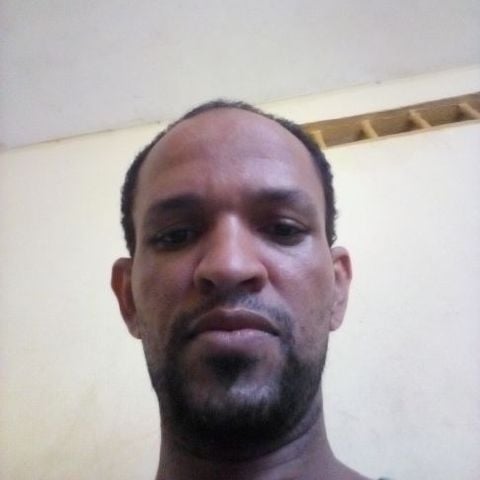 Harvy