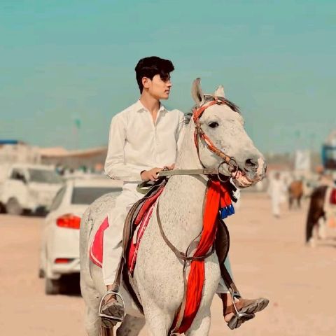 Arham0091