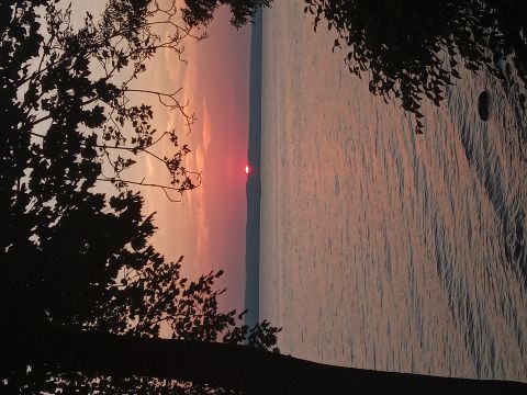 Lisadogtrn is Single in INTERLAKEN, New York, 4