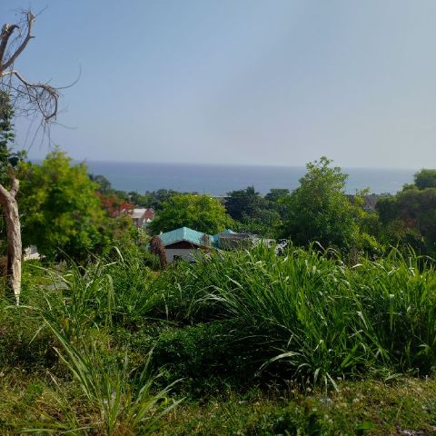 Temona