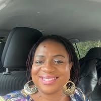 agneslamin