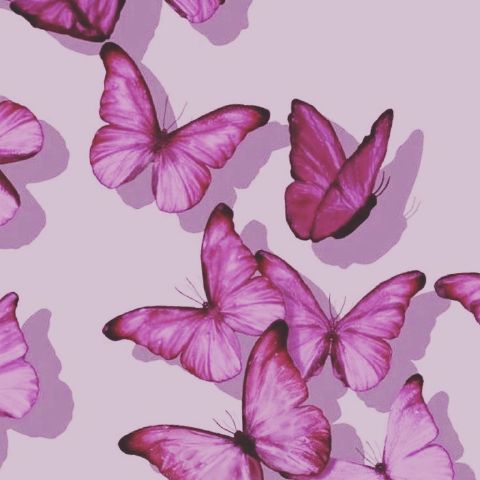 Christine565 is Single in Port Mathurin, Rodrigues, 3