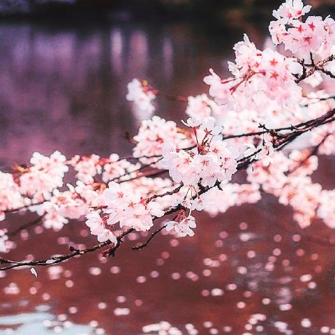 Christine565 is Single in Port Mathurin, Rodrigues, 4