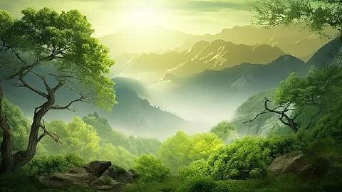 Nithin08