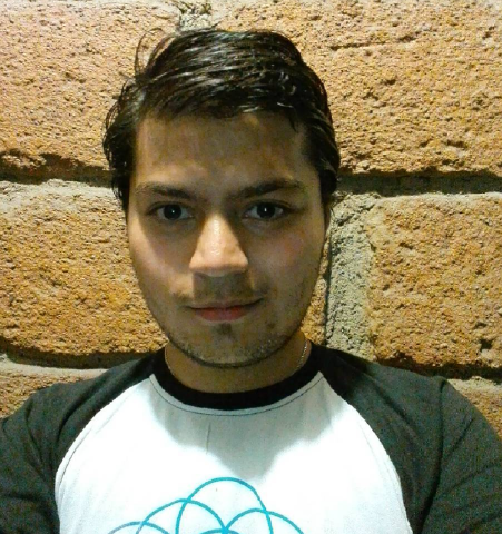 thejavadeveloper