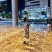 Winner247 is Single in Deira, Dubayy, 4