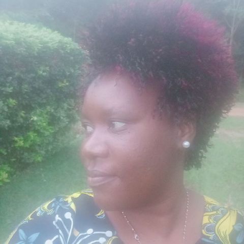 Amusugut