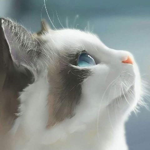 Mariajohn25