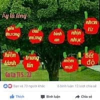 ngochanh