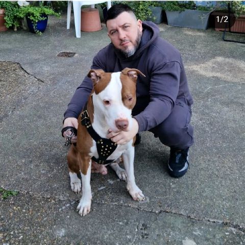 Bibby1989 is Single in London, England, 1