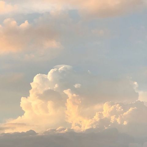 Nelika38