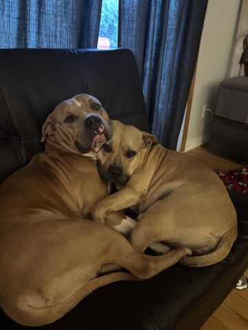 FaithDee193 is Single in okotoks, Alberta, 4