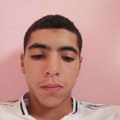 zakaria353