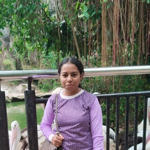 Yorse