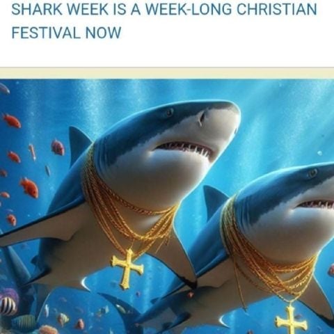 IsaacBL is Single in Cheyenne, Wyoming, 5