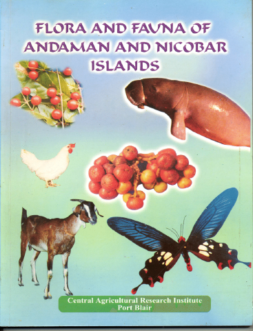 midasapple