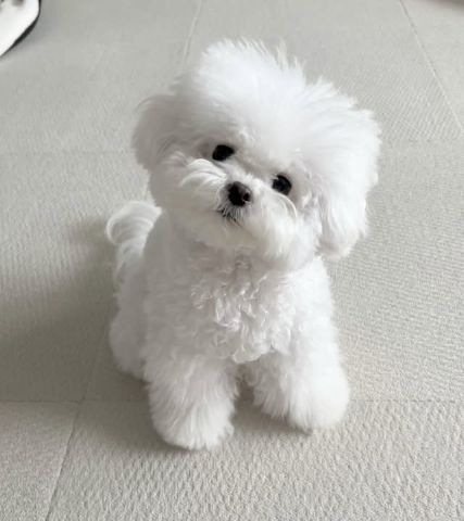 KingMark75 is Single in Smithfield, New South Wales, 4