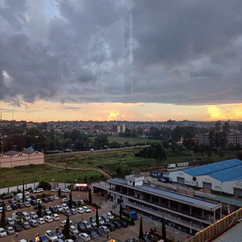 Wanjira14
