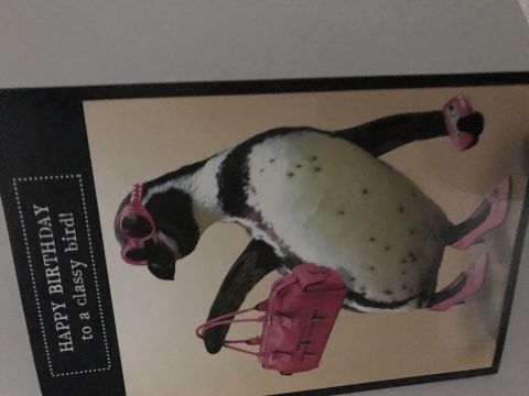 Dobracura1