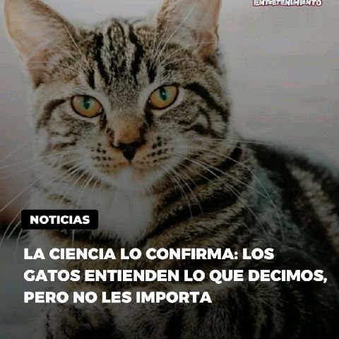 andresr19
