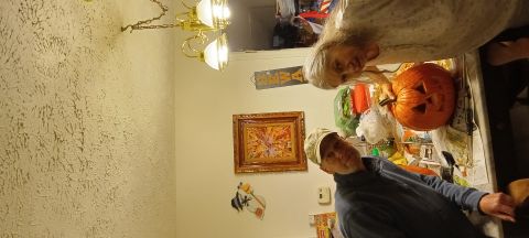 Steventrt is Single in COEUR D ALENE, Idaho, 4
