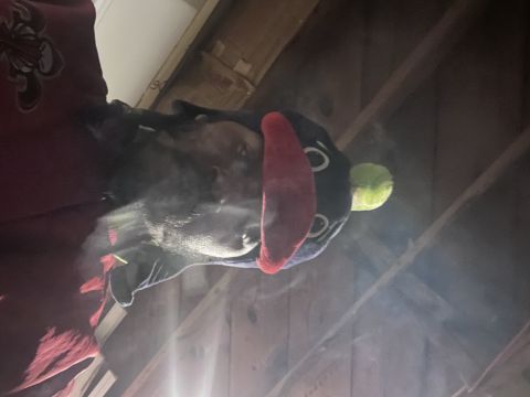 ronson6 is Single in new orleans, Louisiana, 4