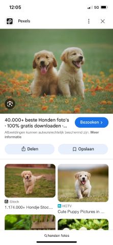 norah123344