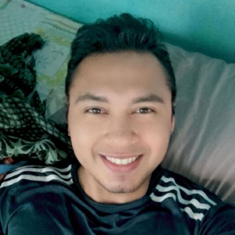 Nestor17