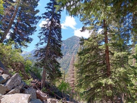 Alan7007 is Single in FORT DODGE, Iowa, 7