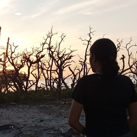 TitaMendonca