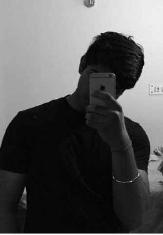 alvim83