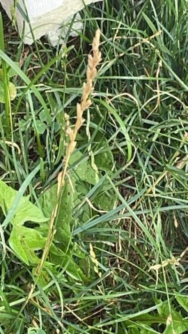 cg83 is Single in Deer Lake, Newfoundland and Labrador, 2