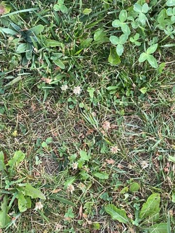 cg83 is Single in Deer Lake, Newfoundland and Labrador, 3