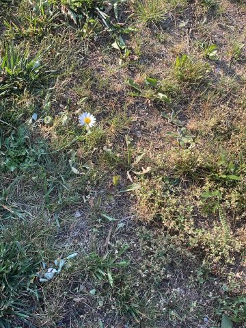 cg83 is Single in Deer Lake, Newfoundland and Labrador, 4