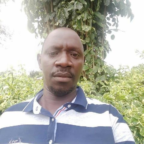 Hermanomondi
