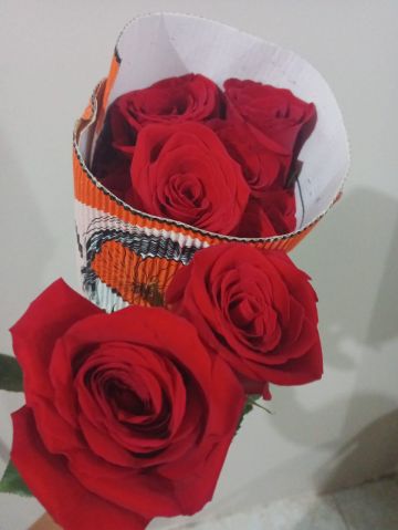 rosi27