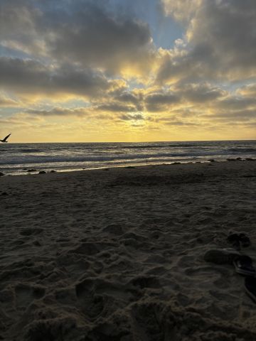 Godgirl1 is Single in Phenix, Arizona, 4