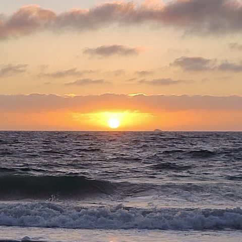 Platypus is Single in Floreat, Western Australia, 3